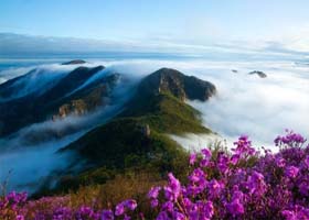 秦皇岛山居民宿